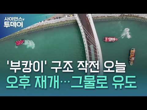 '부캉이' <strong>구조</strong> 작전 <strong>오늘</strong> 오후 재개...그물로 유도 / YTN 사이언스