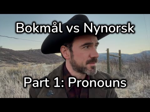 Norwegian Bokmål vs. Nynorsk: Pronouns