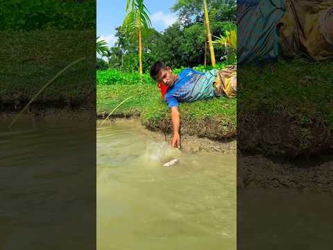 Big fish here #bigfish #viral #fish #hugefish