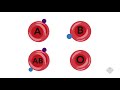 Enzymes and Blood Type Research