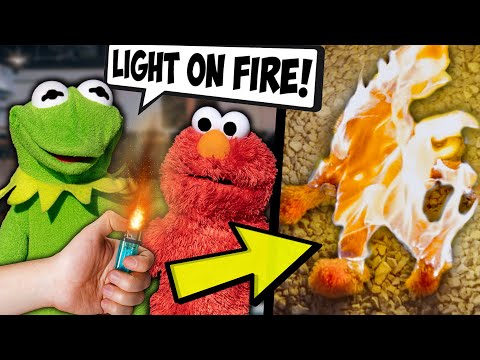 I let Kermit and Elmo Control My Life for 24 HOURS! (Gone Wrong)