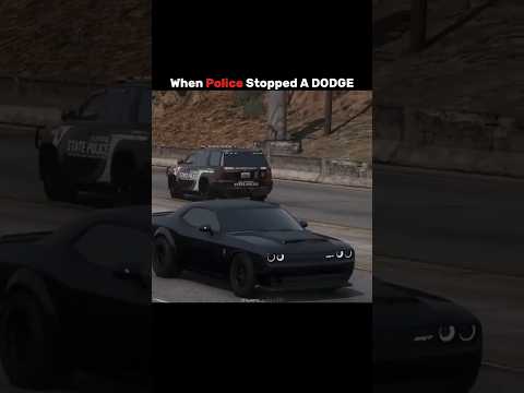 When <strong>Police</strong> Stopped A DODGE ☠️