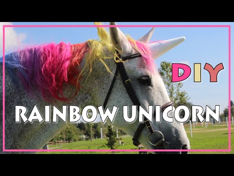 DIY Rainbow Unicorn  ♥ REGENBOGEN EINHORN Tutorial