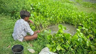 Amazing Fishing Video ✅|| I was amazed to see this boy cleaning the pond and catching fish (part-3)