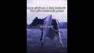 EFSANE BİR ŞEY