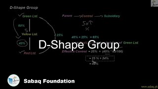 D-Shape Group