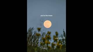 #independentartist #lovesong #mountainmusic #weddingtok #lyrics