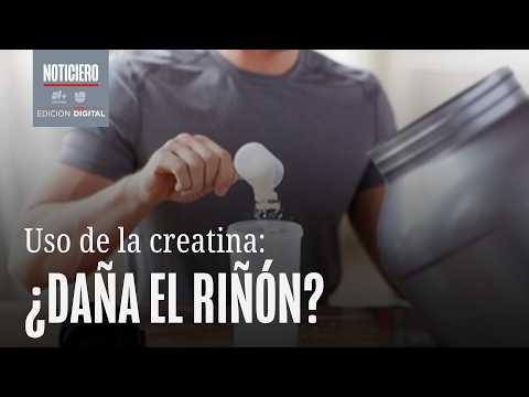 ¿El Uso de la Creatina Daña a los Riñones?