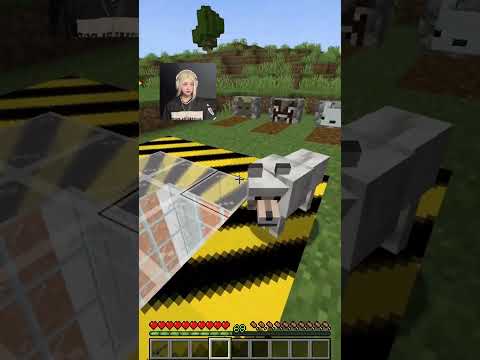 Rescuing Dog vs Black Hole 🥺💖#minecraft