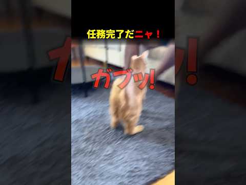 任務完了だニャ!