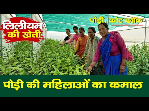 Pauri की 7 महिलाओं का कमाल | Foreign Flower, Local Power | lilium की खेती से खोले रोजगार के द्वार।