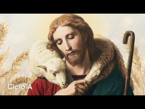 Homilía│ San <strong>Mateo</strong>, Apóstol y Evangelista 21.09.2026│ Pbro. Javier Martín FM│ www.magnificat.tv│