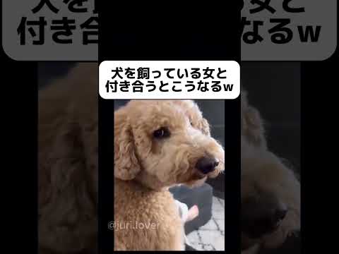 犬を飼ってる人と付き合ったら