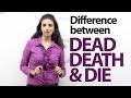 Understanding Death and Its Implications