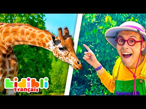 Compilation Animaux de la Savane | Vidéos Educatives pour les Enfants | Kidibli