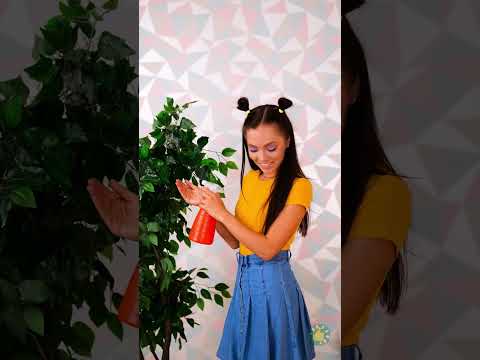 لقد صقلت حذاءها بالبيض 😨