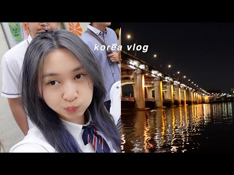 korea vlog | lotte world, han river