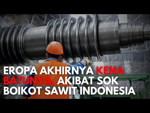 Super Bangga! Eropa Kena Batunya dan Kini Pusing Sendiri Karena Berani Boikot Sawit Indonesia