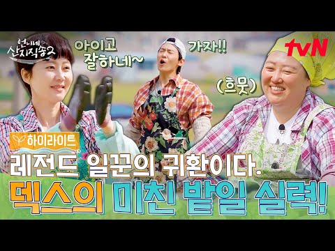 다시 돌아온 레전드 일꾼! 덱스의 미친 밭일 실력⛏️ #highlight #언니네산지직송2 EP.12