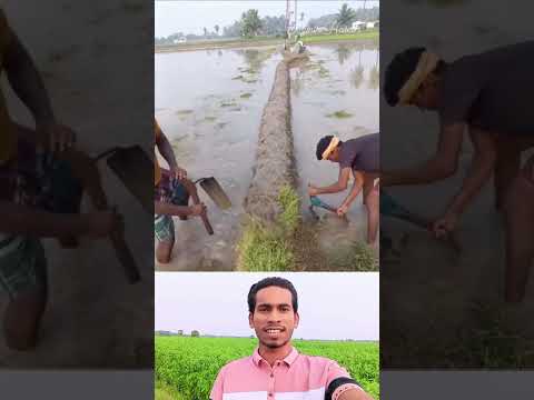 দুই ভাইয়ের মধ্য  কতটা মিল দেখুন #shorts