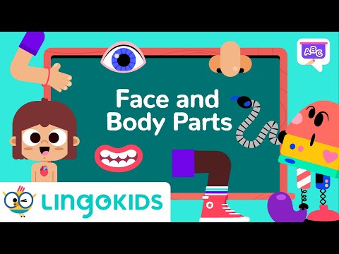 Learn About Body Parts for kids 👃👂🖐️ VOCABULARY FOR KIDS | Lingokids