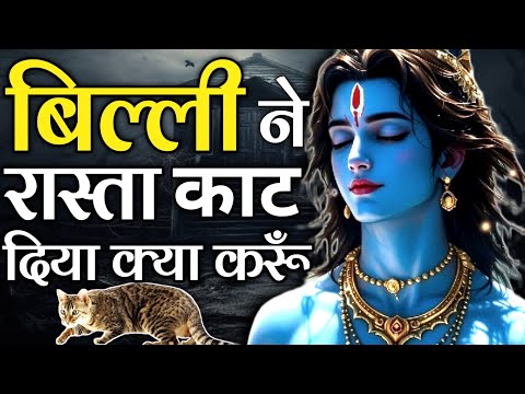 बिल्ली रास्ता काटे तो क्या करें | Krishna Updesh | Krishna Vani |