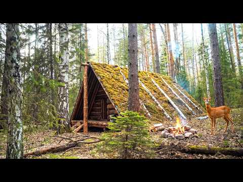 Survive a cold night in an old triangular cabin in the wild Siberian forest