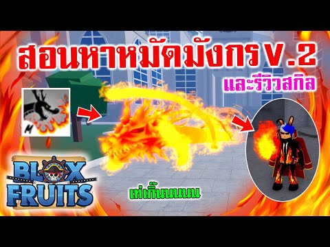 Blox Fruits : สอนหาและรีวิว หมัดมังกร V.2 อย่างโหด
