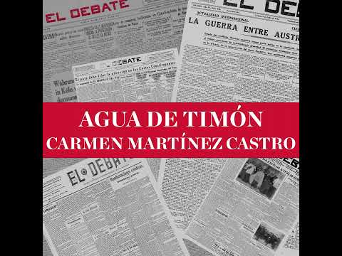 Agua de timón de Carmen Martínez Castro: La ley Begoña