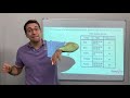 Analyzing Attendance and Price Trends