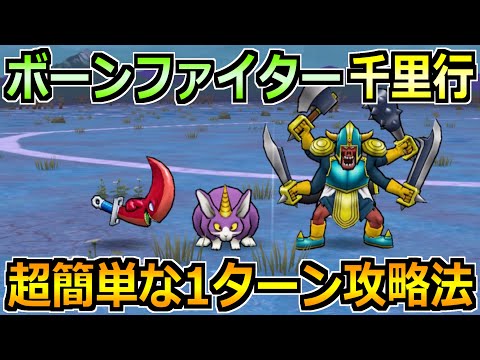 【ドラクエウォーク】ボーンファイター覚醒千里行の安定周回法！朝神楽なしで1ターン攻略！