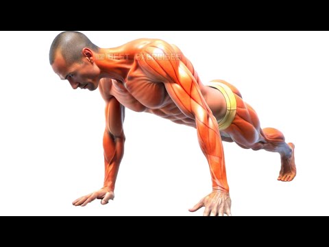 Best High Plank to Get Shredded Abs and Lose Belly Fat