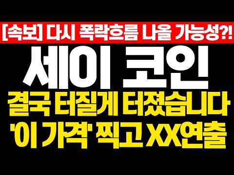 [세이 코인] 속보! 다시 폭락흐름 나올 가능성?! 결국 터질게 터졌습니다 '이 가격' 찍고 XX연출!