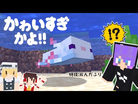 にこたまの最新動画 Youtubeランキング