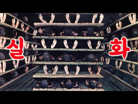 🔥역대급 충격 실화!! "희망도 탈출도 없다” 인간이길 포기해야 했던 현대판 노예 이야기!! 최근에 본 영화중에 가장 충격적인 영화..[영화리뷰 결말포함]