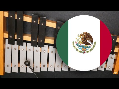 Tocando el "Himno de México" en mi Xilófono Económico