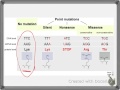 Mutations and Their Effects