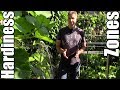 Understanding USDA Plant Hardiness Zones