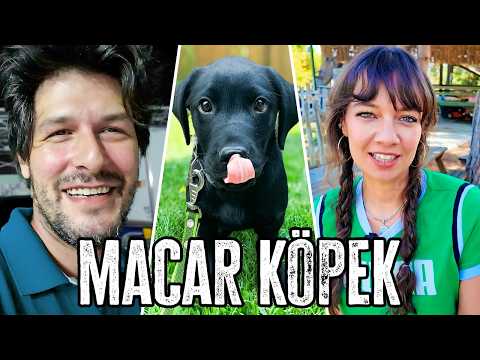 Ailenin Yeni Üyesi Macar Prens !
