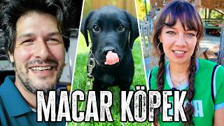 Ailenin Yeni Üyesi Macar Prens !
