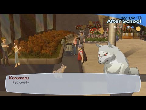 Persona 3 FES - Akihiko The Dog Whisperer