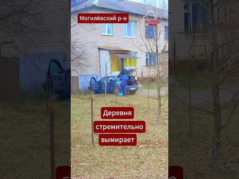 ПРАВДУ пропагандой не скроешь! Деревню тотально уничтожили #беларусь #новости #деревня #вымирание