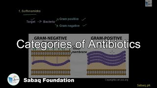 Categories of Antibiotics