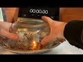 Plant Combustion Experiment Observations