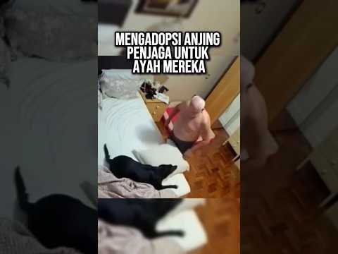Mengadopsi Anjing Penjaga untuk Ayah Mereka