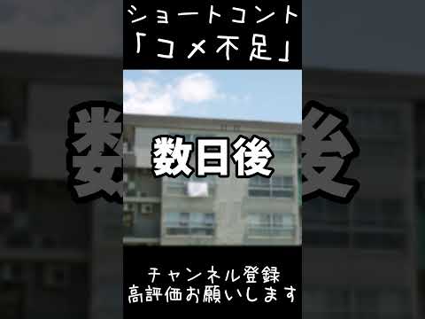 【ゆっくり茶番】ショートコント「コメ不足」【ずんだもん】 #shorts