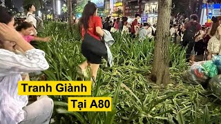 Tổng hợp những màn tương tác trong hợp luyện binh A80