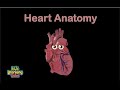 Exploring Heart Anatomy Through Song