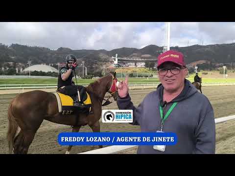ENTREVISTA con el Agente de Jinete, FREDDY LOZANO / #LARINCONADA 4-3-2026