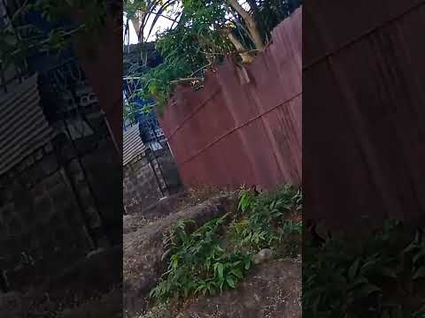 #go deban de||#_goa ka njara||#_shorts  video